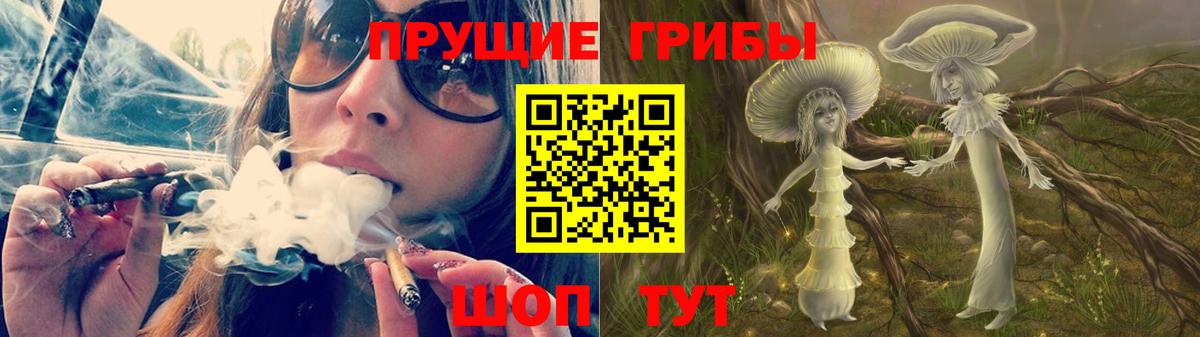 Галлюциногенные грибы GOLDEN TEACHER  Вход с VPN  Искитим  купить наркоту  Псилоцибиновые грибы MAGIC MUSHROOMS 